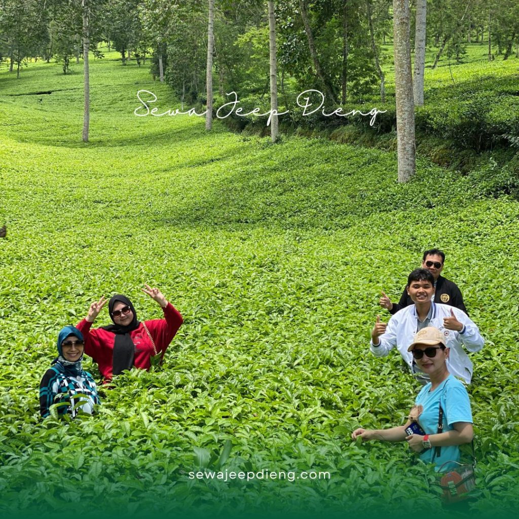 wisata dieng untuk anak